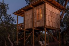 columba-tree-house-madeiguincho_14