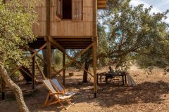 columba-tree-house-madeiguincho_4