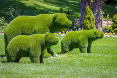 1000_F_275967993_ZCk69gh458cf3rlAOF0CeJDFMYcW5X0V