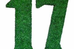 custom-logo-or-letter-boxwood-topiary-shape-36in-tall-x-6in-wide-outdoor-rated-45__45835
